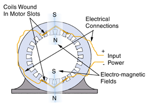 motor magnetization